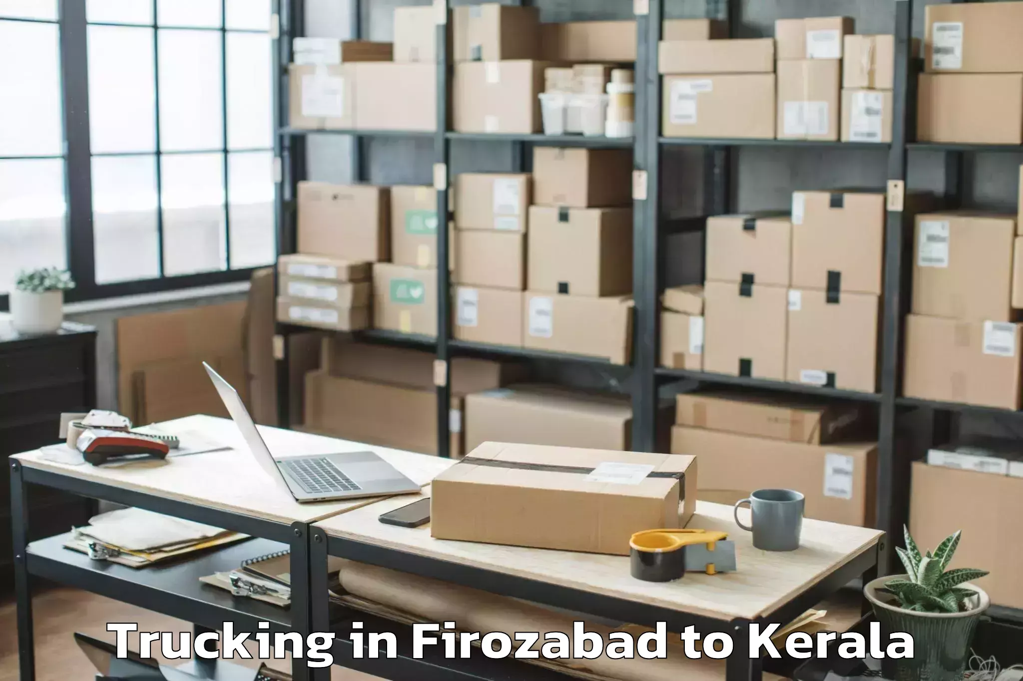 Professional Firozabad to Pandalam Trucking